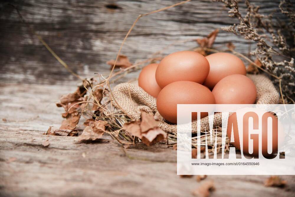 In selective of eggs on hemp cloth and cover with dried leaves,blurry light design background., In selective of eggs on hemp cloth and cover with dried leaves,blurry light design background., 29.05.2020 05:54:21,