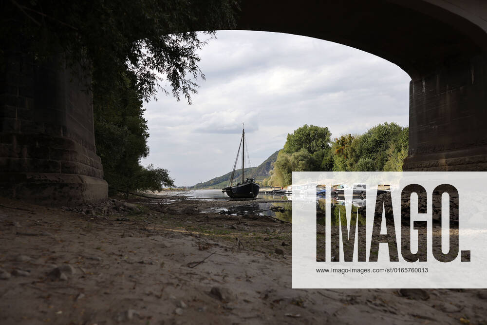 Der Rhein bei extremen Niedrigwasser: Bei Bad Honnef Rhöndorf, unterhalb des Drachenfels, liegt nicht nur das historische Rheinschiff Aalschokker Aranka im Altrheinarm an der Insel Grafenwerth auf Grund. Das Wasser in dem Seitenarm des Rhein ist so weit zurückgegangen, dass einige Boote, Kutter und Segelschiffe auf dem Trockenen liegen. (Themenbild, Symbolbild) Bonn, 16.08.2022 NRW Deutschland