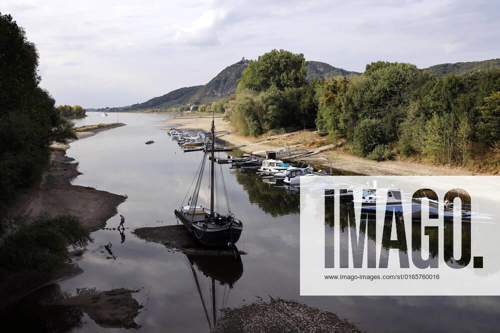 Der Rhein bei extremen Niedrigwasser: Bei Bad Honnef Rhöndorf, unterhalb des Drachenfels, liegt nicht nur das historische Rheinschiff Aalschokker Aranka im Altrheinarm an der Insel Grafenwerth auf Grund. Das Wasser in dem Seitenarm des Rhein ist so weit zurückgegangen, dass einige Boote, Kutter und Segelschiffe auf dem Trockenen liegen. (Themenbild, Symbolbild) Bonn, 16.08.2022 NRW Deutschland
