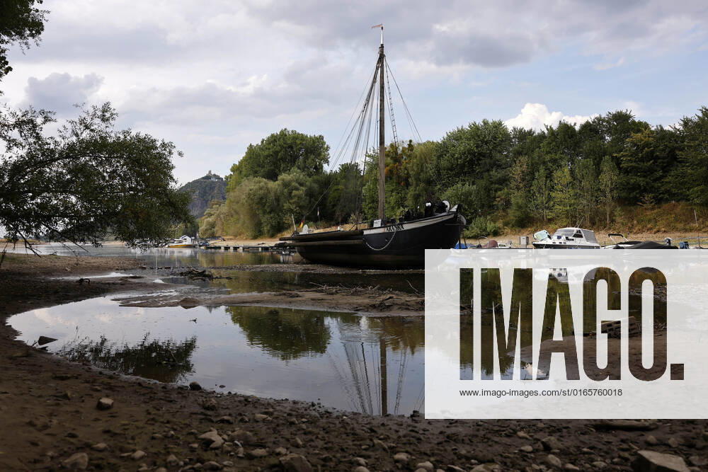 Der Rhein bei extremen Niedrigwasser: Bei Bad Honnef Rhöndorf, unterhalb des Drachenfels, liegt nicht nur das historische Rheinschiff Aalschokker Aranka im Altrheinarm an der Insel Grafenwerth auf Grund. Das Wasser in dem Seitenarm des Rhein ist so weit zurückgegangen, dass einige Boote, Kutter und Segelschiffe auf dem Trockenen liegen. (Themenbild, Symbolbild) Bonn, 16.08.2022 NRW Deutschland