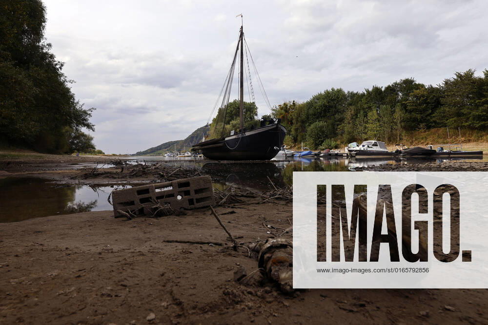 Der Rhein bei extremen Niedrigwasser: Bei Bad Honnef Rhöndorf, unterhalb des Drachenfels, liegt nicht nur das historische Rheinschiff Aalschokker Aranka im Altrheinarm an der Insel Grafenwerth auf Grund. Das Wasser in dem Seitenarm des Rhein ist so weit zurückgegangen, dass einige Boote, Kutter und Segelschiffe auf dem Trockenen liegen. (Themenbild, Symbolbild) Bonn, 16.08.2022 NRW Deutschland