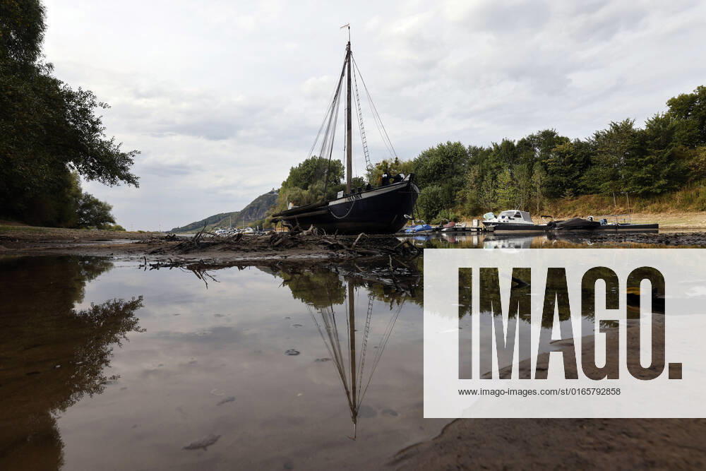 Der Rhein bei extremen Niedrigwasser: Bei Bad Honnef Rhöndorf, unterhalb des Drachenfels, liegt nicht nur das historische Rheinschiff Aalschokker Aranka im Altrheinarm an der Insel Grafenwerth auf Grund. Das Wasser in dem Seitenarm des Rhein ist so weit zurückgegangen, dass einige Boote, Kutter und Segelschiffe auf dem Trockenen liegen. (Themenbild, Symbolbild) Bonn, 16.08.2022 NRW Deutschland