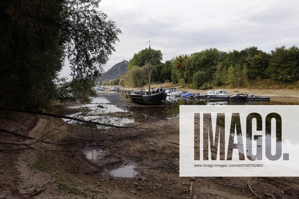 Der Rhein bei extremen Niedrigwasser: Bei Bad Honnef Rhöndorf, unterhalb des Drachenfels, liegt nicht nur das historische Rheinschiff Aalschokker Aranka im Altrheinarm an der Insel Grafenwerth auf Grund. Das Wasser in dem Seitenarm des Rhein ist so weit zurückgegangen, dass einige Boote, Kutter und Segelschiffe auf dem Trockenen liegen. (Themenbild, Symbolbild) Bonn, 16.08.2022 NRW Deutschland