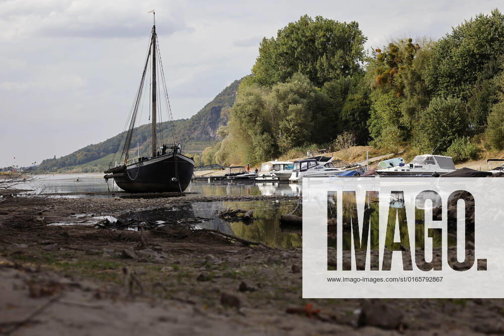 Der Rhein bei extremen Niedrigwasser: Bei Bad Honnef Rhöndorf, unterhalb des Drachenfels, liegt nicht nur das historische Rheinschiff Aalschokker Aranka im Altrheinarm an der Insel Grafenwerth auf Grund. Das Wasser in dem Seitenarm des Rhein ist so weit zurückgegangen, dass einige Boote, Kutter und Segelschiffe auf dem Trockenen liegen. (Themenbild, Symbolbild) Bonn, 16.08.2022 NRW Deutschland