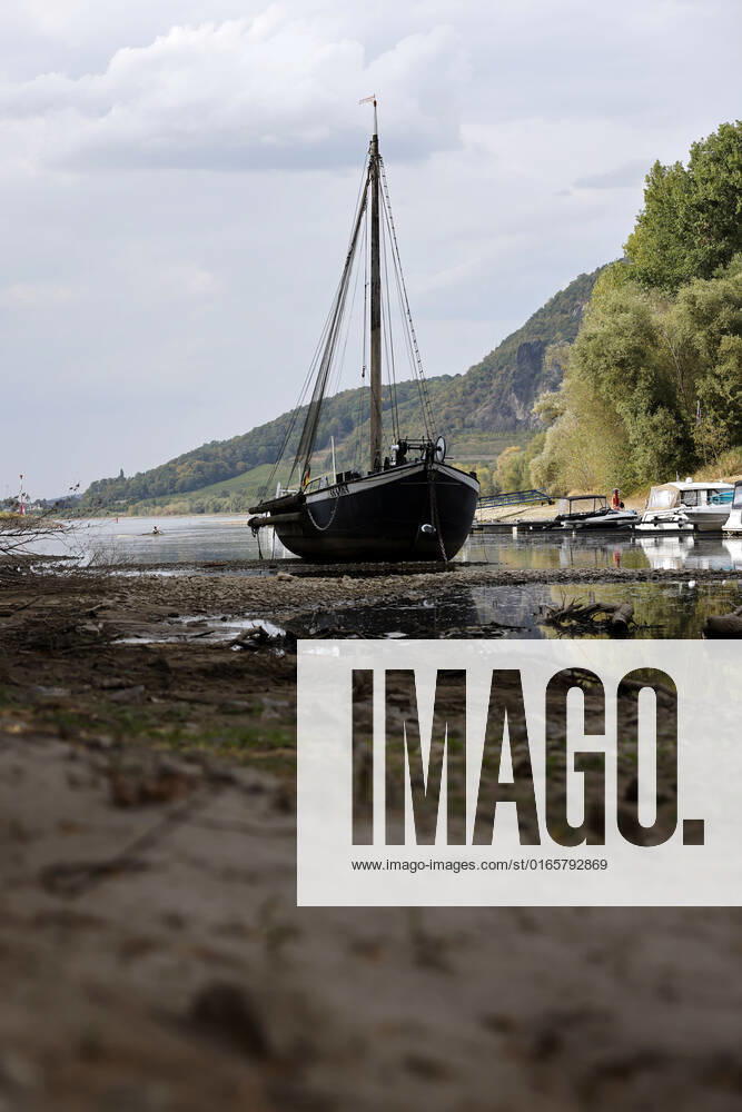 Der Rhein bei extremen Niedrigwasser: Bei Bad Honnef Rhöndorf, unterhalb des Drachenfels, liegt nicht nur das historische Rheinschiff Aalschokker Aranka im Altrheinarm an der Insel Grafenwerth auf Grund. Das Wasser in dem Seitenarm des Rhein ist so weit zurückgegangen, dass einige Boote, Kutter und Segelschiffe auf dem Trockenen liegen. (Themenbild, Symbolbild) Bonn, 16.08.2022 NRW Deutschland