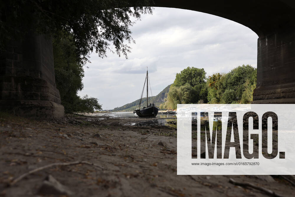 Der Rhein bei extremen Niedrigwasser: Bei Bad Honnef Rhöndorf, unterhalb des Drachenfels, liegt nicht nur das historische Rheinschiff Aalschokker Aranka im Altrheinarm an der Insel Grafenwerth auf Grund. Das Wasser in dem Seitenarm des Rhein ist so weit zurückgegangen, dass einige Boote, Kutter und Segelschiffe auf dem Trockenen liegen. (Themenbild, Symbolbild) Bonn, 16.08.2022 NRW Deutschland
