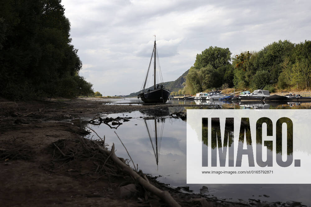 Der Rhein bei extremen Niedrigwasser: Bei Bad Honnef Rhöndorf, unterhalb des Drachenfels, liegt nicht nur das historische Rheinschiff Aalschokker Aranka im Altrheinarm an der Insel Grafenwerth auf Grund. Das Wasser in dem Seitenarm des Rhein ist so weit zurückgegangen, dass einige Boote, Kutter und Segelschiffe auf dem Trockenen liegen. (Themenbild, Symbolbild) Bonn, 16.08.2022 NRW Deutschland