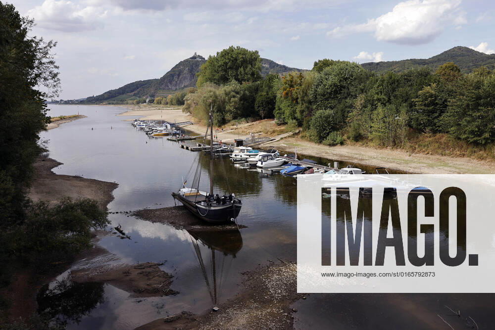 Der Rhein bei extremen Niedrigwasser: Bei Bad Honnef Rhöndorf, unterhalb des Drachenfels, liegt nicht nur das historische Rheinschiff Aalschokker Aranka im Altrheinarm an der Insel Grafenwerth auf Grund. Das Wasser in dem Seitenarm des Rhein ist so weit zurückgegangen, dass einige Boote, Kutter und Segelschiffe auf dem Trockenen liegen. (Themenbild, Symbolbild) Bonn, 16.08.2022 NRW Deutschland