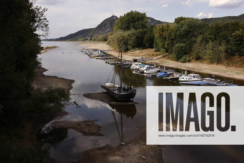 Der Rhein bei extremen Niedrigwasser: Bei Bad Honnef Rhöndorf, unterhalb des Drachenfels, liegt nicht nur das historische Rheinschiff Aalschokker Aranka im Altrheinarm an der Insel Grafenwerth auf Grund. Das Wasser in dem Seitenarm des Rhein ist so weit zurückgegangen, dass einige Boote, Kutter und Segelschiffe auf dem Trockenen liegen. (Themenbild, Symbolbild) Bonn, 16.08.2022 NRW Deutschland