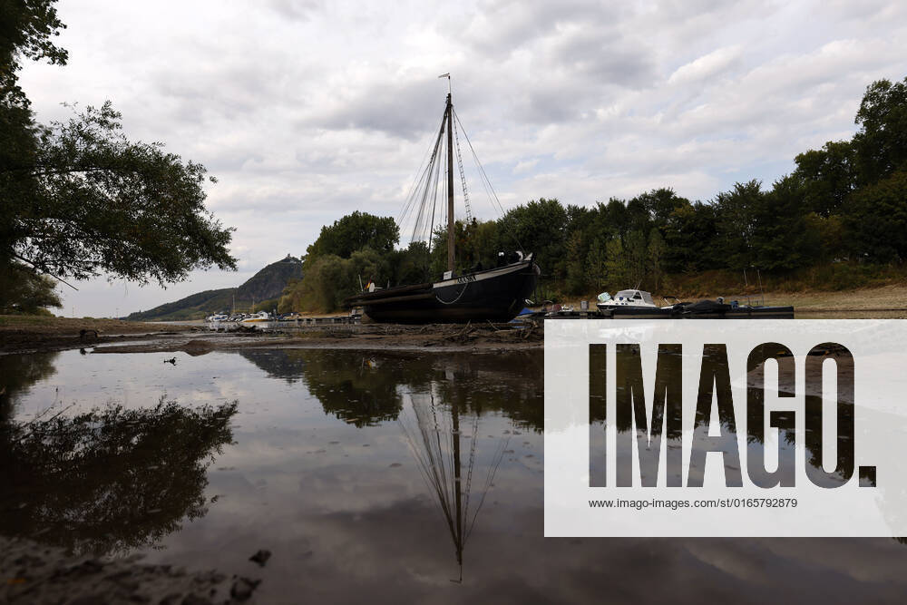 Der Rhein bei extremen Niedrigwasser: Bei Bad Honnef Rhöndorf, unterhalb des Drachenfels, liegt nicht nur das historische Rheinschiff Aalschokker Aranka im Altrheinarm an der Insel Grafenwerth auf Grund. Das Wasser in dem Seitenarm des Rhein ist so weit zurückgegangen, dass einige Boote, Kutter und Segelschiffe auf dem Trockenen liegen. (Themenbild, Symbolbild) Bonn, 16.08.2022 NRW Deutschland