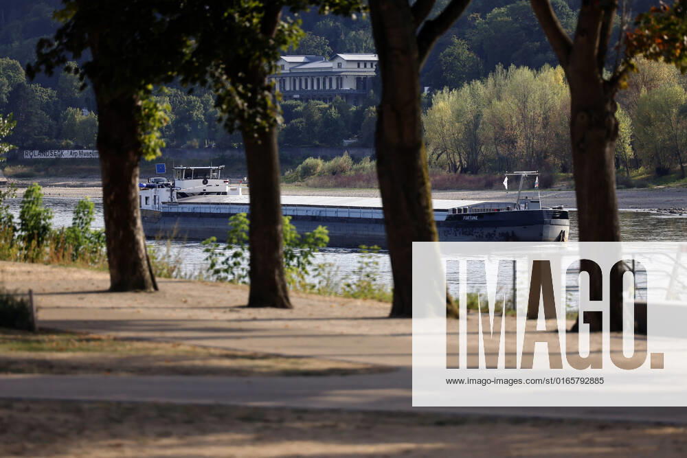 Der Rhein bei extremen Niedrigwasser: Bei Bad Honnef Rhöndorf, unterhalb des Drachenfels, fährt ein Frachter vorsichtig mit wenig Beladung durch das Flussbett. (Themenbild, Symbolbild) Bonn, 16.08.2022 NRW Deutschland