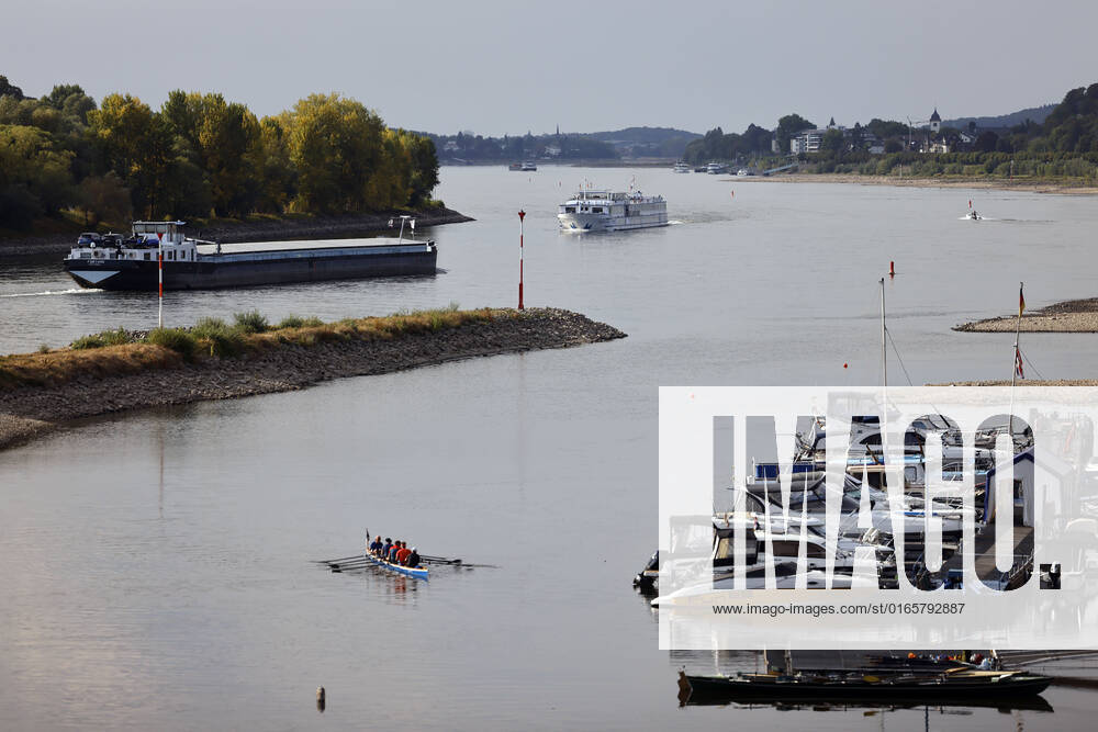 Der Rhein bei extremen Niedrigwasser: Bei Bad Honnef Rhöndorf, unterhalb des Drachenfels, liegt nicht nur das historische Rheinschiff Aalschokker Aranka im Altrheinarm an der Insel Grafenwerth auf Grund. Das Wasser in dem Seitenarm des Rhein ist so weit zurückgegangen, dass einige Boote, Kutter und Segelschiffe auf dem Trockenen liegen. (Themenbild, Symbolbild) Bonn, 16.08.2022 NRW Deutschland