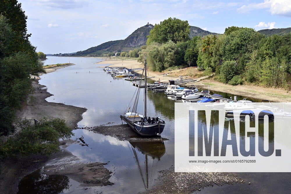 Der Rhein bei extremen Niedrigwasser: Bei Bad Honnef Rhöndorf, unterhalb des Drachenfels, liegt nicht nur das historische Rheinschiff Aalschokker Aranka im Altrheinarm an der Insel Grafenwerth auf Grund. Das Wasser in dem Seitenarm des Rhein ist so weit zurückgegangen, dass einige Boote, Kutter und Segelschiffe auf dem Trockenen liegen. (Themenbild, Symbolbild) Bonn, 16.08.2022 NRW Deutschland