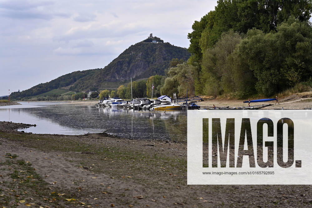Der Rhein bei extremen Niedrigwasser: Bei Bad Honnef Rhöndorf, unterhalb des Drachenfels, liegt nicht nur das historische Rheinschiff Aalschokker Aranka im Altrheinarm an der Insel Grafenwerth auf Grund. Das Wasser in dem Seitenarm des Rhein ist so weit zurückgegangen, dass einige Boote, Kutter und Segelschiffe auf dem Trockenen liegen. (Themenbild, Symbolbild) Bonn, 16.08.2022 NRW Deutschland