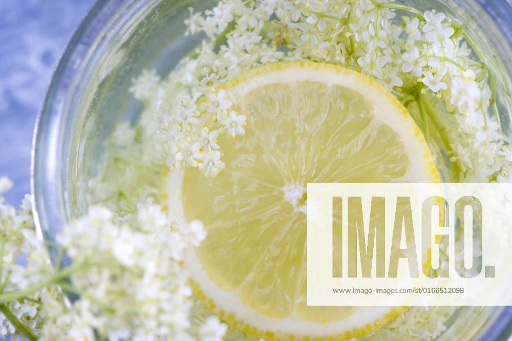 Elderflower syrup in mason jar, ASF06840