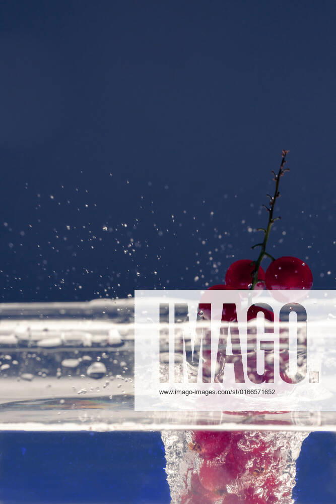 Johannisbeeren fallen in Wasser