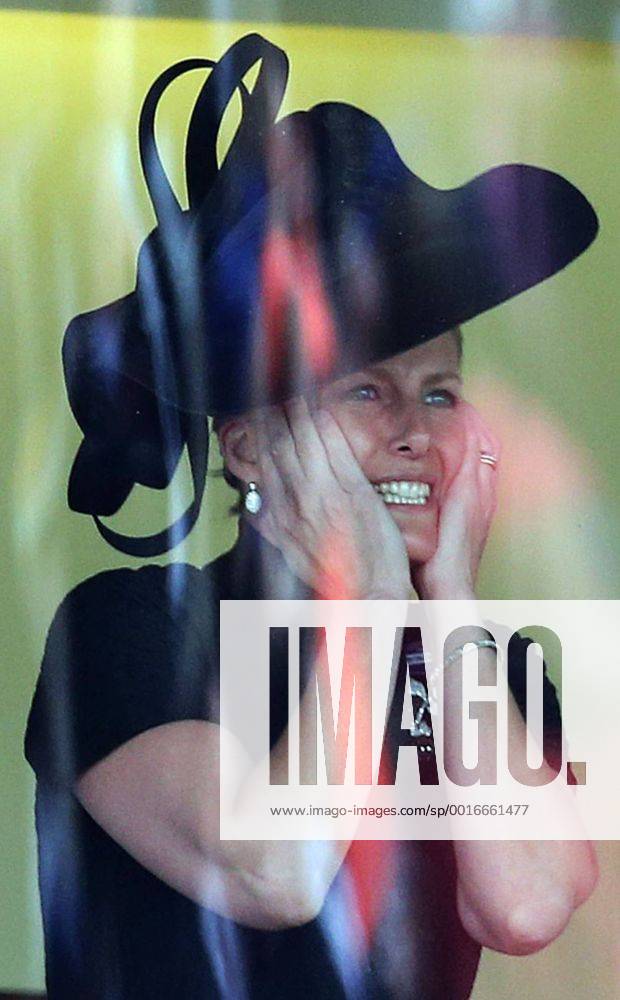 Image licensed to i-Images Picture Agency. 19 06 2014. Ascot, United Kingdom. Countess of Wessex cheers on The Queen s horse Estimate during the Gold Cup at Ladies Day at Royal Ascot Picture by Stephen Lock i-Images StephenxLockx xi-Images IIM-2487-0048