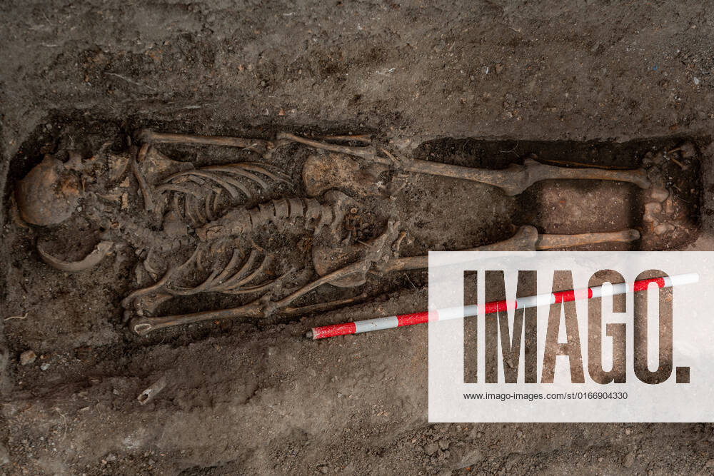 Spanien, Exhumierung und Identifizierung von Opfern der Franco-Diktatur in Colmenar Viejo August 25, 2022, Madrid, Spain: (EDITORS NOTE: image depicts death) .Remains of a body seen during the exhumation. The San Sebastian de los Reyes Truth Commission Association and the Aranzadi Science Society have begun excavating one of the two graves in Colmenar Viejo, in the Madrid Community, where the bodies of 107 men and one woman shot by Franco s forces in 1939 were thrown off. Madrid Spain - ZUMAs197 20220825_zab_s197_018