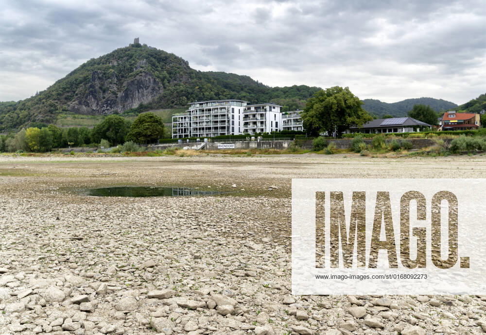 DEU , DEUTSCHLAND : Der ausgetrocknete Rhein bei Rhoendorf ( Rhöndorf ) Siebengebirge , im Hintergrund ist der Drachenfels , 17.08.2022 DEU , GERMANY : The dry river bed of Rhine river near Rhoendorf , in the background Drachenfels mountain ( Dragon Rock ) can be seen