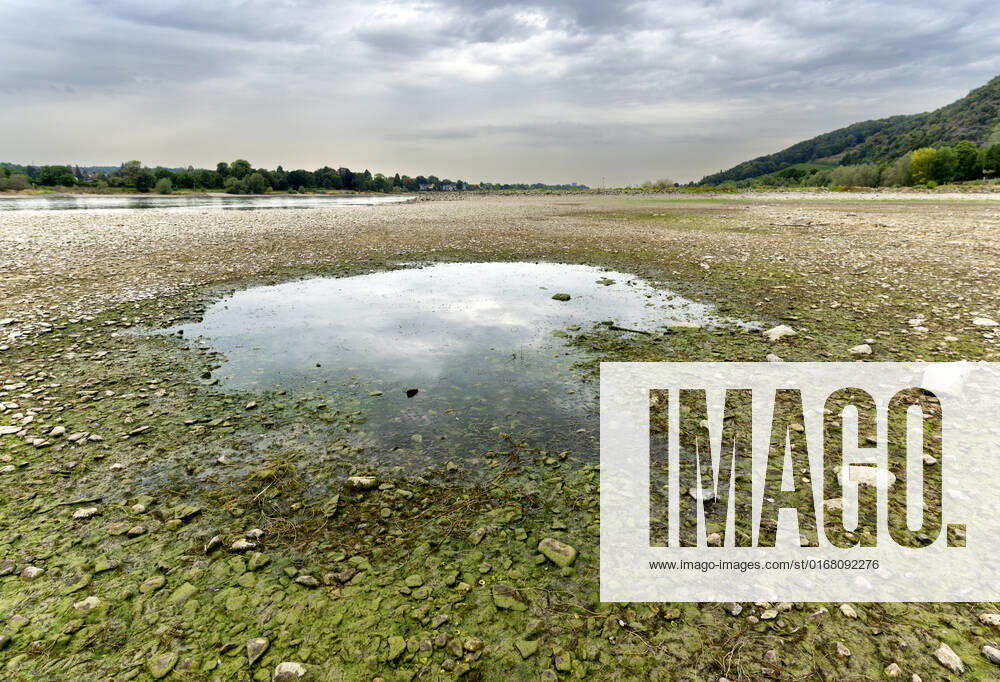DEU , DEUTSCHLAND : Der ausgetrocknete Rhein bei Rhoendorf ( Rhöndorf ) , 17.08.2022 DEU , GERMANY : The dry river bed of Rhine river near Rhoendorf