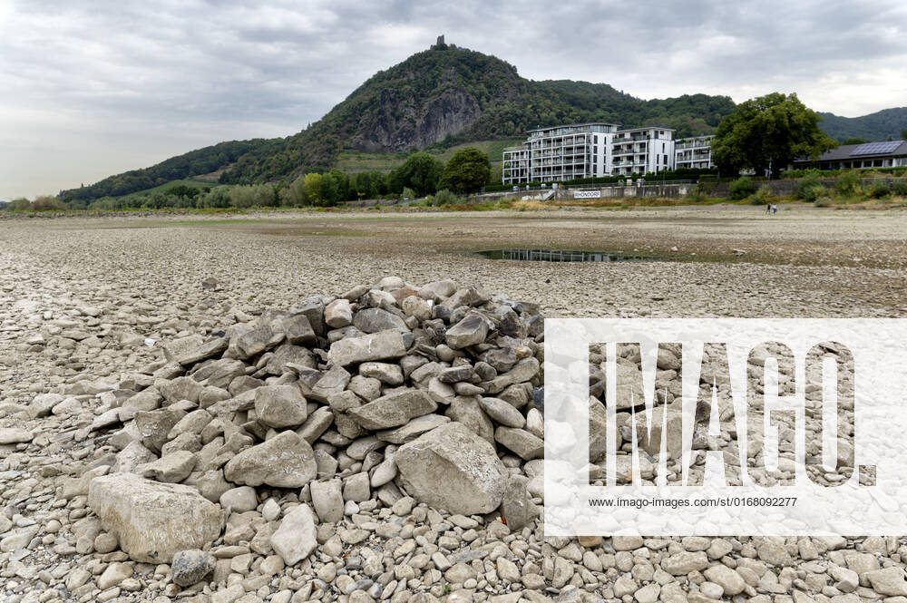 DEU , DEUTSCHLAND : Der ausgetrocknete Rhein bei Rhoendorf ( Rhöndorf ) Siebengebirge , im Hintergrund ist der Drachenfels , 17.08.2022 DEU , GERMANY : The dry river bed of Rhine river near Rhoendorf , in the background Drachenfels mountain ( Dragon Rock ) can be seen
