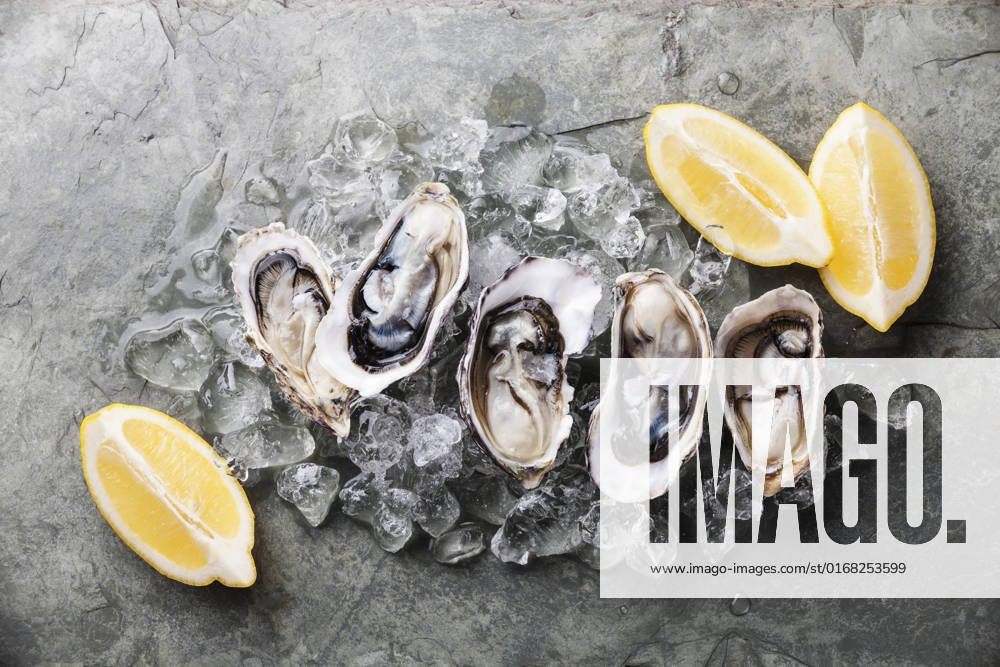Opened Oysters on stone plate with ice and lemon