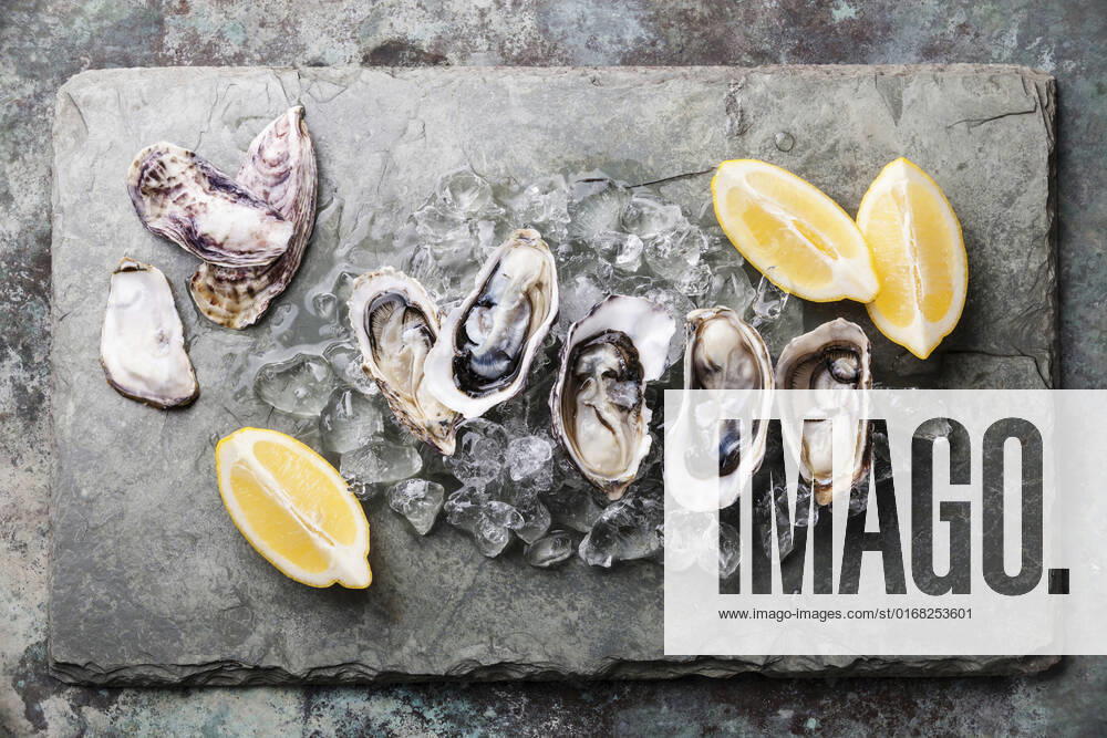 Opened Oysters on stone plate with ice and lemon