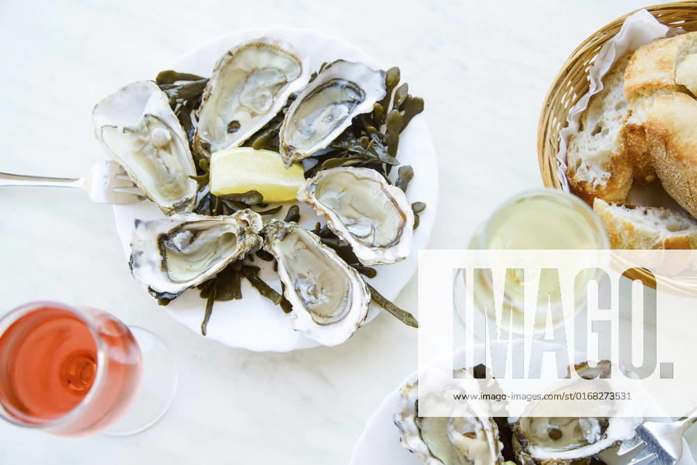 Raw oysters served in a french restaurant Raw oysters served in a french restaurant with lemon slices, wine, baguette and butter