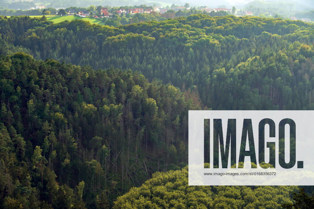 Deutschland, Sachsen, Sächsische Schweiz, Hohnstein: Blick von der Brandbaude bei Hohnstein auf die Wälder im Nationalpark Sächsische Schweiz. Dürre und der Borkenkäfer sorgen dafür, dass immer mehr Bäume in dem Naturschutzgebiet absterben.