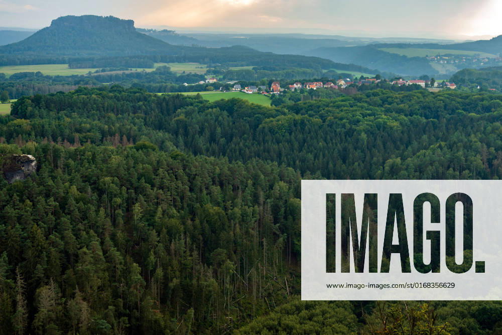 Deutschland, Sachsen, Sächsische Schweiz, Hohnstein: Blick von der Brandbaude bei Hohnstein auf die Wälder im Nationalpark Sächsische Schweiz, im Hintergrund der Lilienstein. Dürre und der Borkenkäfer sorgen dafür, dass immer mehr Bäume in dem Naturschutzgebiet absterben.