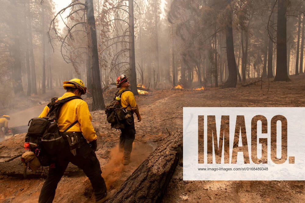 Firefighters walk by spot fire during the Mosquito Fire in Volcanoville, Friday, Sept. 9, 2022. Volcanoville USA - ZUMAj89_ 20220909_zaf_j89_015