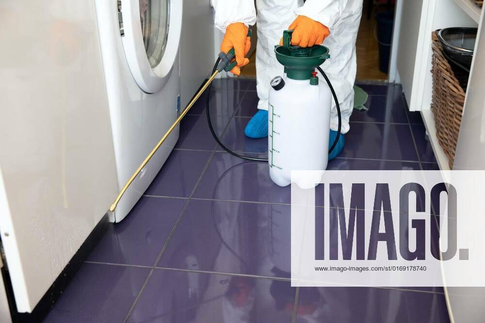 Pest control in the kitchen, Pest control worker spraying insecticide with sprayer in the kitchen, Pest control worker spraying insecticide with sprayer in the kitchen, 10.02.2022,