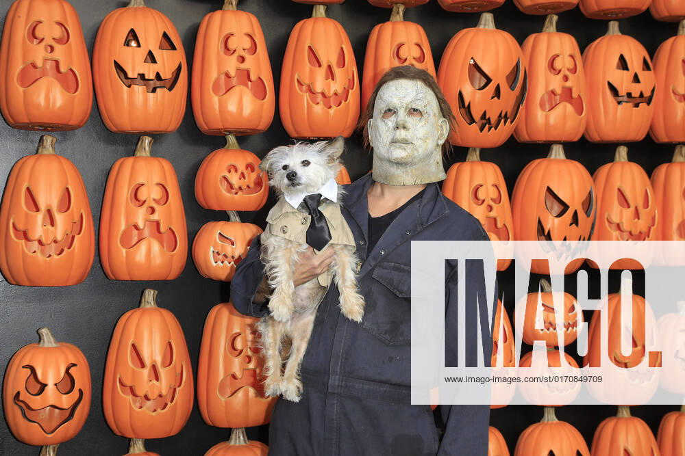 Bilder des Jahres 2022, Entertainment 10 Oktober Entertainment Themen der Woche KW41 October 11, 2022, Los Angeles, California, USA: LOS ANGELES - OCT 11: David Michor, Dog Albert at the World Premiere of Halloween Ends at the TCL Chinese Theatre IMAX on October 11, 2022 in Los Angeles, CA. Los Angeles USA - ZUMAg107 20221011_zep_g107_021
