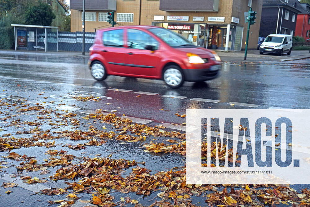 Autofahren im Herbst Nassen Laub erhöht die Rutschgefahr auf Straßen