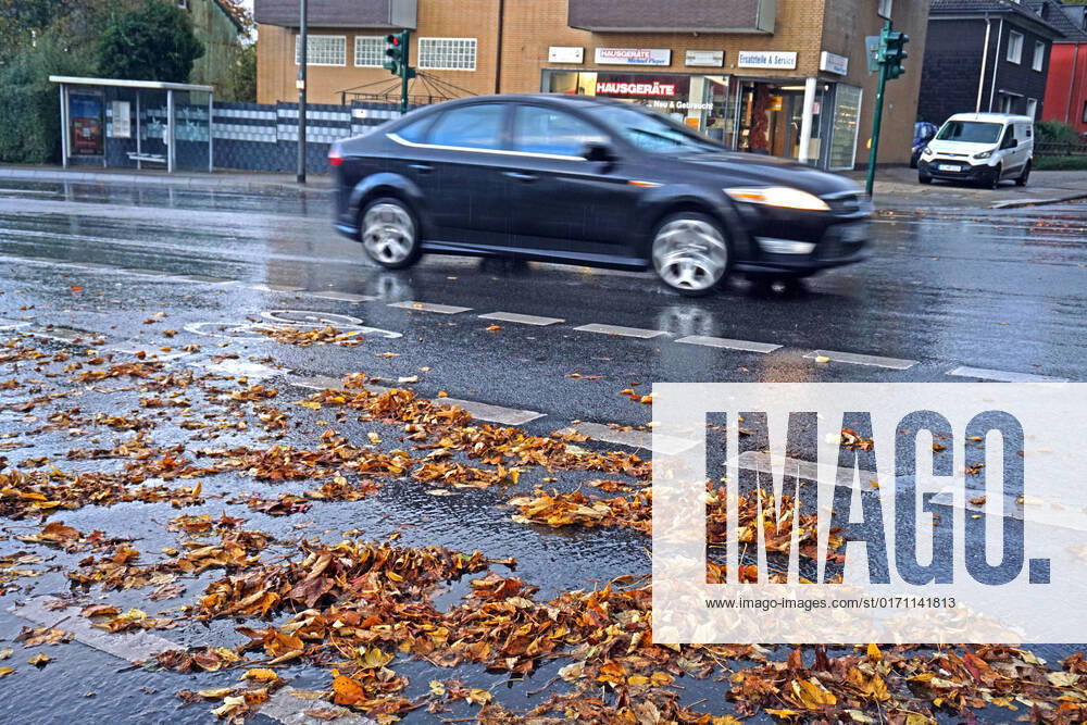Autofahren im Herbst Nassen Laub erhöht die Rutschgefahr auf Straßen