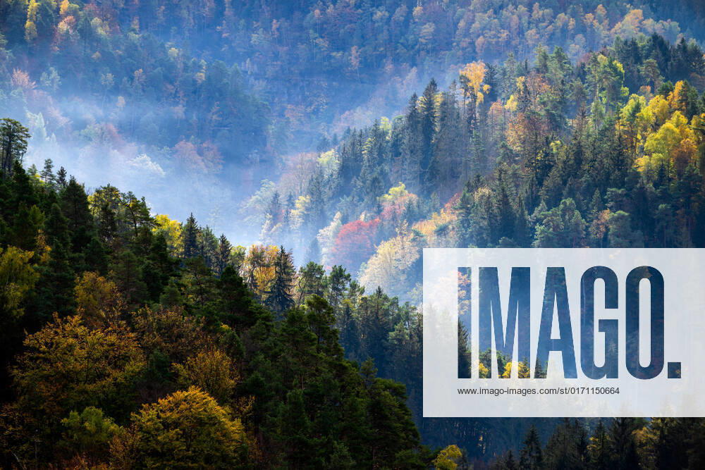 Deutschland, Sachsen, Sächsische Schweiz, Hohnstein: Blick auf Nebelschwaden über den herbstlichen Wäldern im Naturschutzgebiet Sächsische Schweiz - von der Brandbaude bei Hohnstein aus.