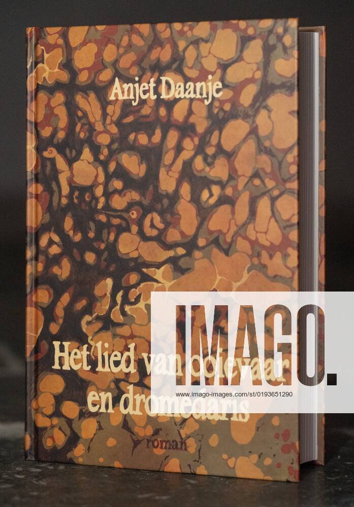 2022-11-10 21:09:29 THE HAGUE - Anjet Daanje has won the Boekenbon Literatuurprijs 2022 with The song of stork and dromedary. This year the award ceremony took place in the Grote of Sint-Jacobskerk. ANP LEX VAN LIESHOUT netherlands out - belgium out