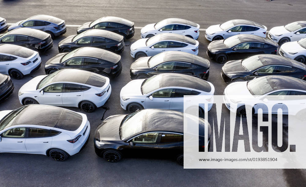 Tesla Giga Facoty Gruenheide, 12.11.2022 - Tesla Y Modelle produziert in der Tesla Giga Factory werden auf dem Werksgelaende auf Autotransporter verladen. Gruenheide Brandenburg Deutschland