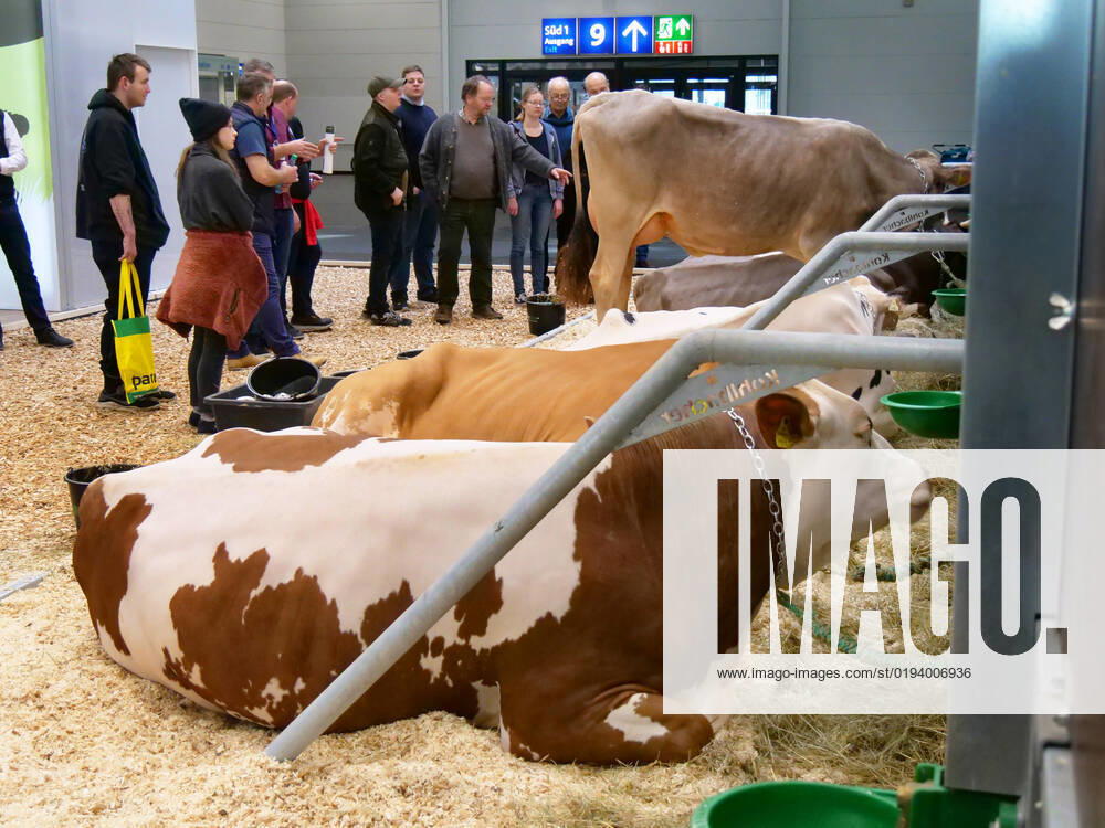 Eindruecke und Rundgang ueber die Euro Tier 2022 in der Messe Hannover vom 15.11.-18.11. 2022 Euro Tier 2022