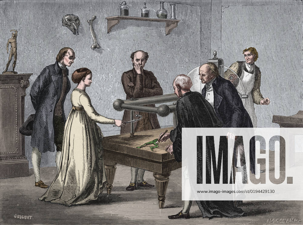 Galvani s discovery, 1780 (1894). Artist: Unknown.