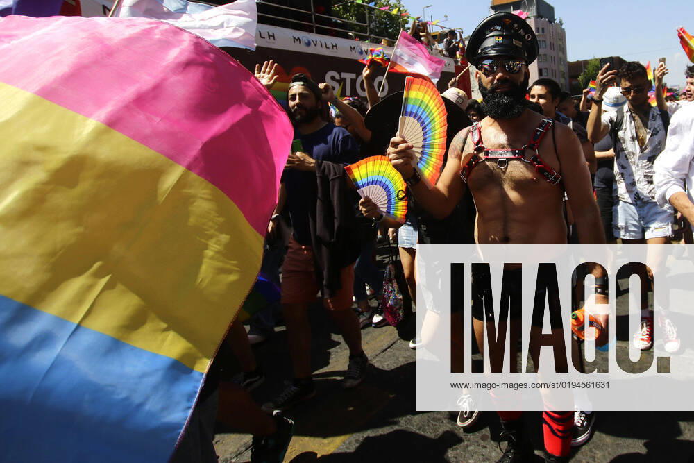 XV version of Santiago Parade, March for Pride and Equality, organized by Movilh Javier Salvo Aton Chile, Santiago Chile Aton 659934