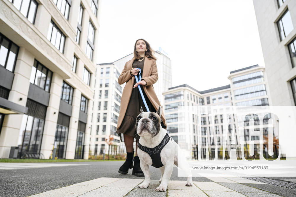 IMAGO Creative, Urban Lifestyle Woman walking with French bulldog in front of buildings model released, Symbolfoto property released, EYAF02350