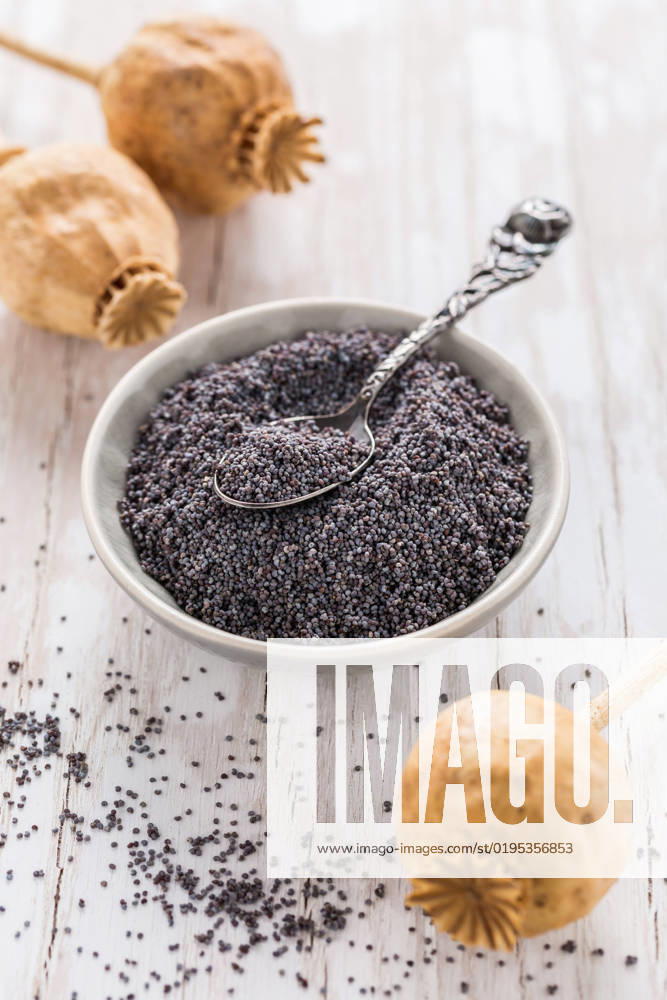 IMAGO Creative: Food, Mohn Organic poppy seeds in small bowl with poppy heads on wooden background. Baking ingredients. Organic poppy seeds in small bowl with poppy heads on wooden background. Baking ingredients.