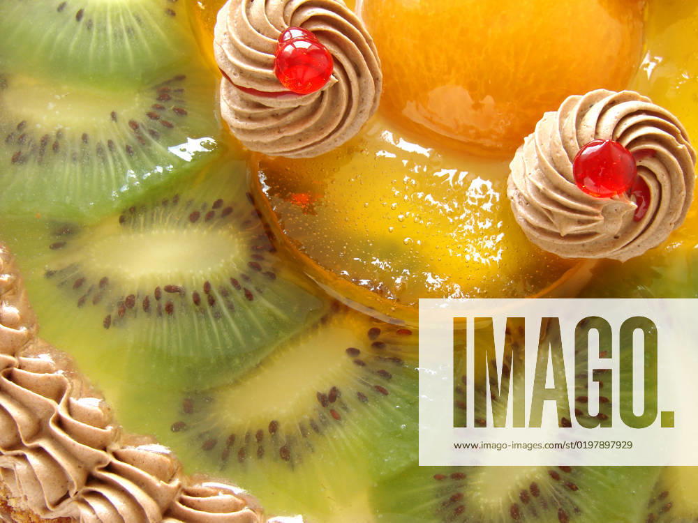 Cake fragment with cream and fruits slices in jelly