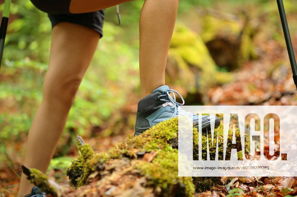 Hiker legs walking in a forest, Close up of a hiker legs walking in a forest, Close up of a hiker legs walking in a forest model released, Symbolfoto , 24.10.2022,