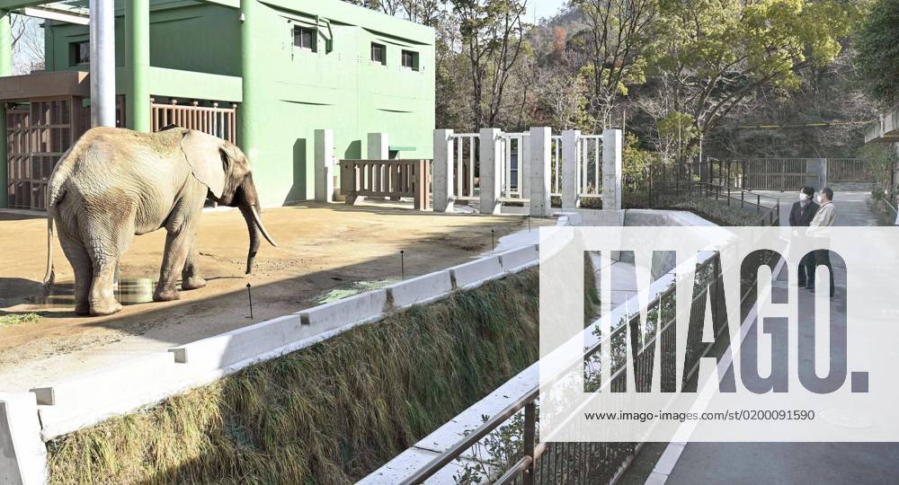 Japanese crown prince visits zoo Japanese Crown Prince Fumihito (L) looks at an elephant at Asa Zoo in the western Japan city of Hiroshima on Jan. 20, 2023. A14AA0001386534P