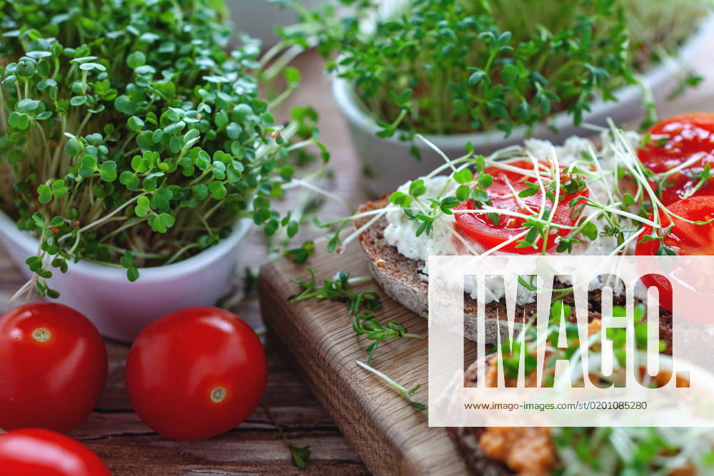 Microgreens - leckeres rustikales Roggenbrot mit pflanzlichen Aufstrichen, Tomate und frischen Microgreens auf hölzernem Tisch - Deutschland