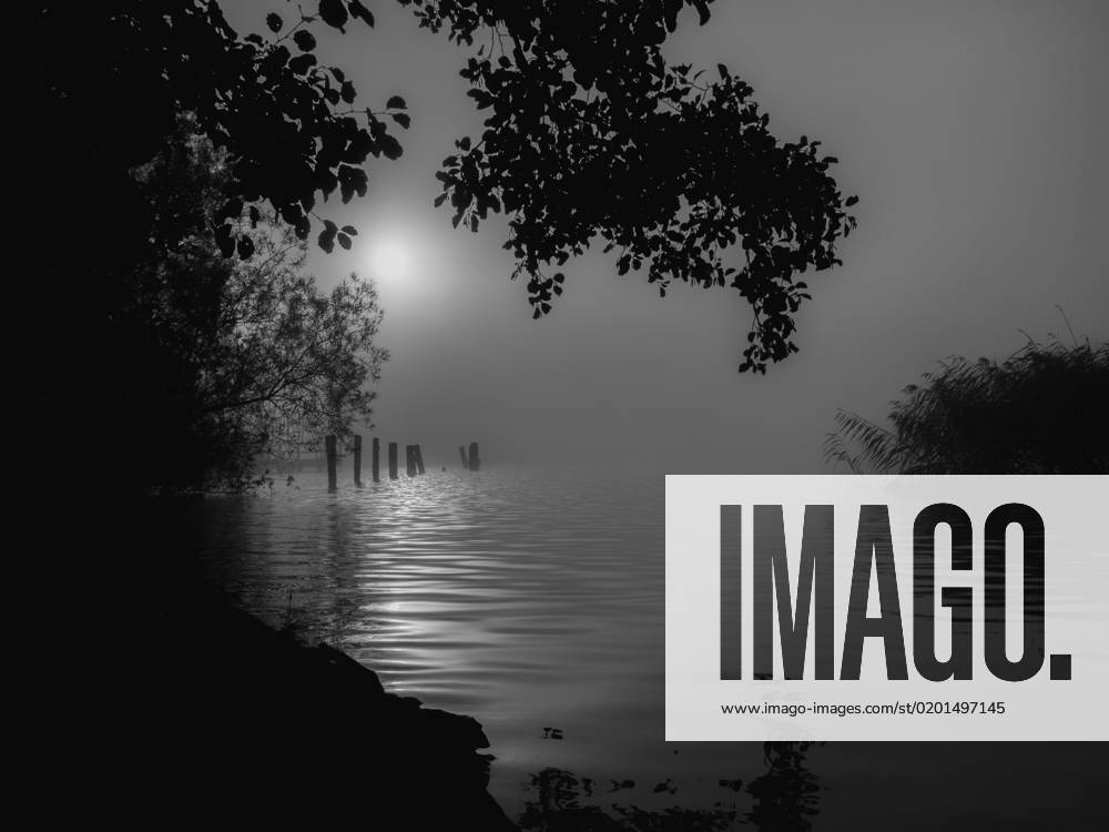 Different wooden poles are standing in the water of a lake in fog at sunrise