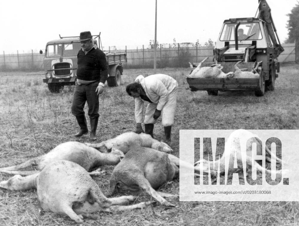 IMAGO Stockfoto