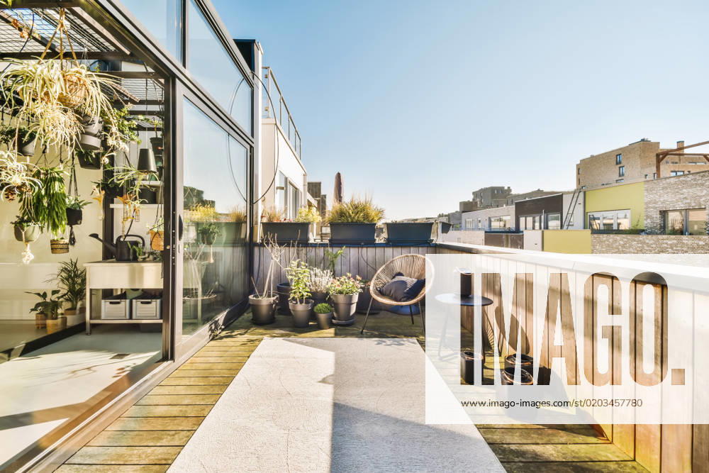 Spacious contemporary veranda with wooden floor and potted plants against cloudless blue sky on sunny day ProCreators_KeaBoumanstraat84_30
